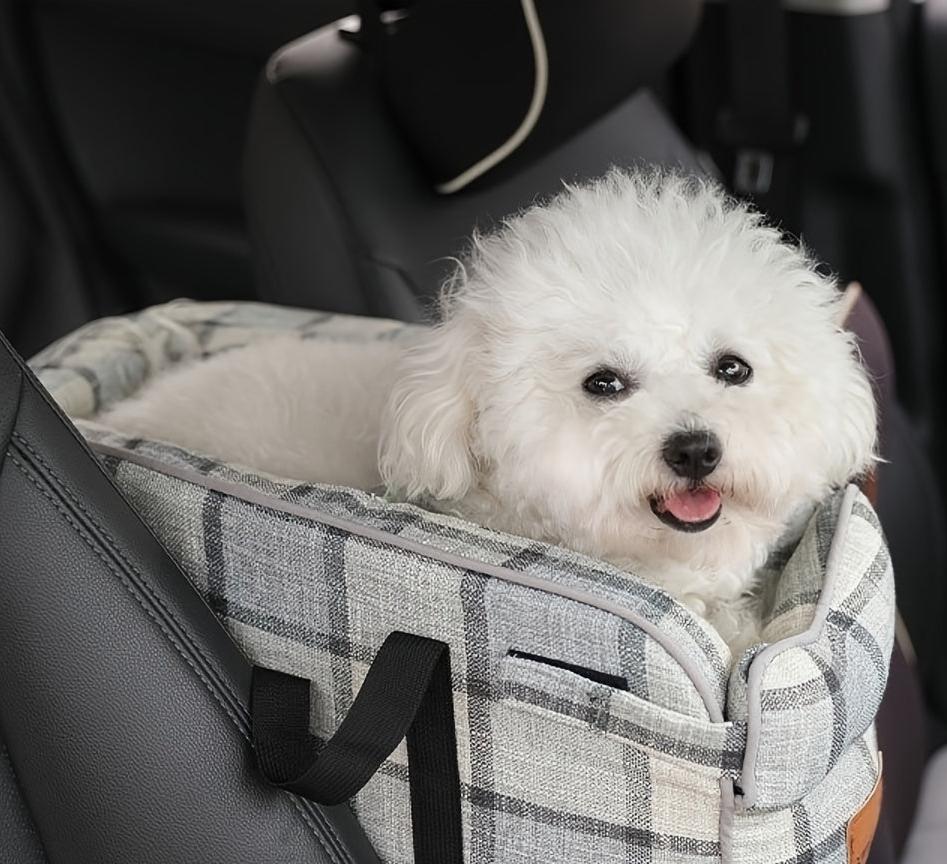 Travel-Friendly Soft Dog Carrier for Small Pets - Collapsible Design with Ample Storage (Yellow, 18.9" L x 10.24" W x 9.45" H)