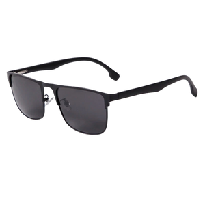 a pair of sunglasses with a black frame